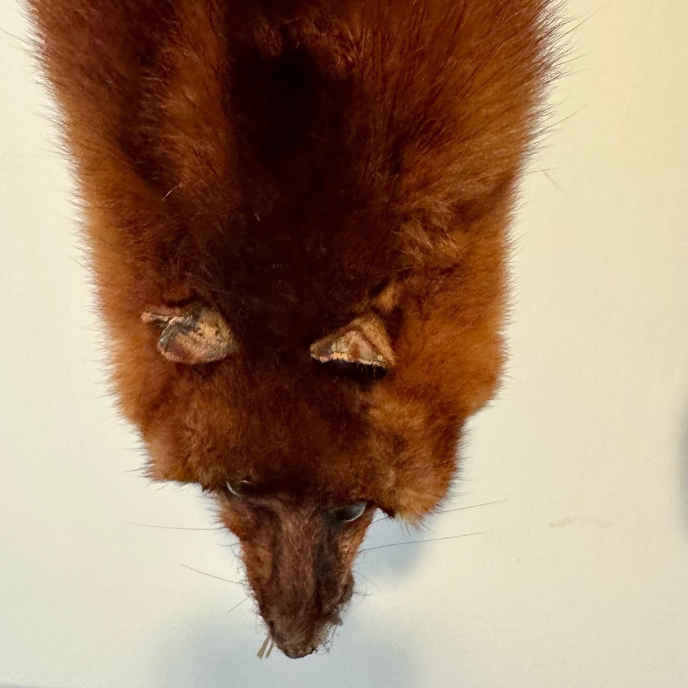 Vintage Red Fox Stole - Picture 2 of 10